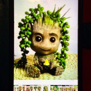 Baby chikie groot planter